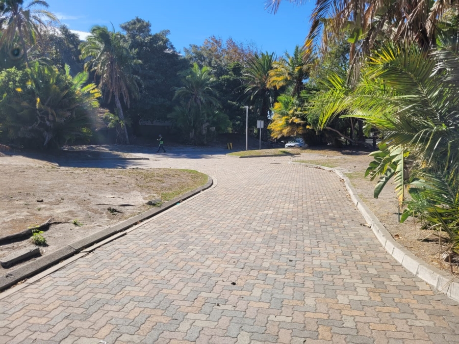 To Let commercial Property for Rent in Elsies River Industrial Western Cape